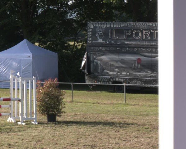 Reitturnier Stadthagen 2025