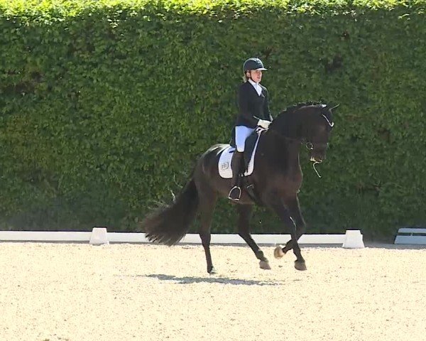 Reitturnier Notzing/Obb. 2025