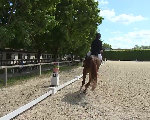 Reitturnier Notzing/Obb. 2025