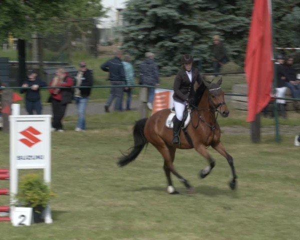 Reitturnier Buckow bei Beeskow (LOS) 2025