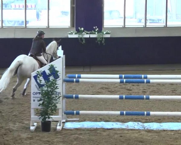 Hallenspringturnier Weilheim/Teck 2014