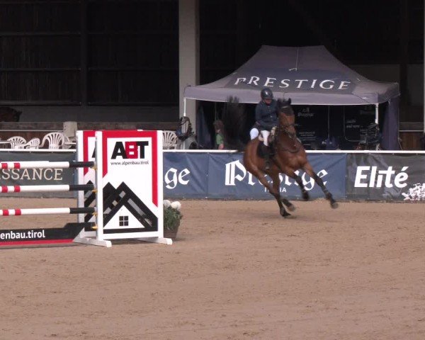 Reitturnier Ranshofen - Braunau am Inn 2025