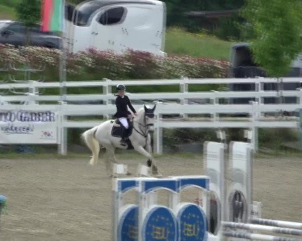 Reitturnier St. Margarethen 2025