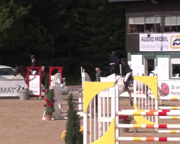 Reitturnier Ranshofen - Braunau am Inn 2025