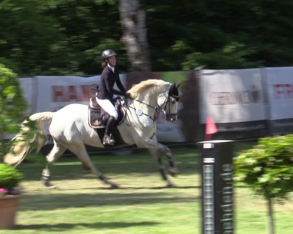 Reitturnier Zeven 2025