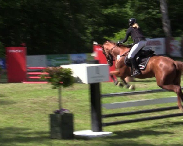 Reitturnier Zeven 2025