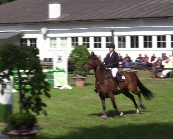 Reitturnier Zeven 2025
