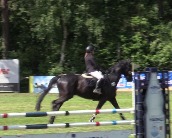 Reitturnier Zeven 2025