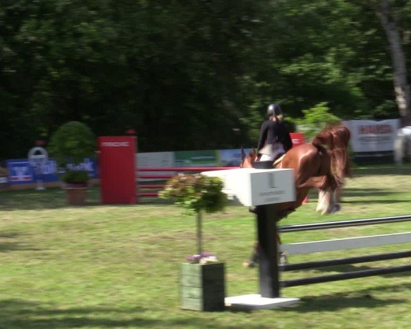 Reitturnier Zeven 2025