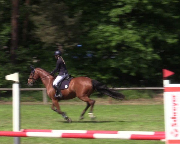 Reitturnier Zeven 2025