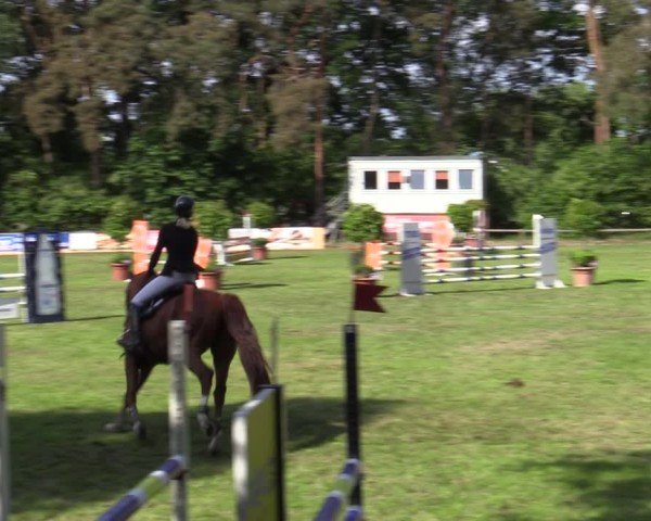 Reitturnier Zeven 2025