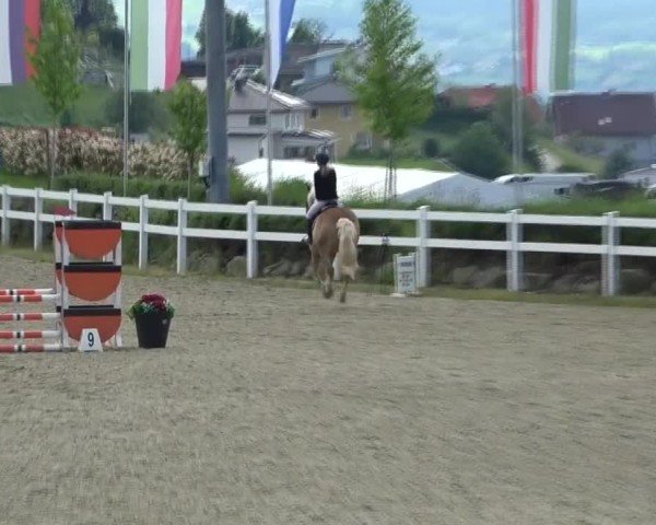Reitturnier St. Margarethen 2025