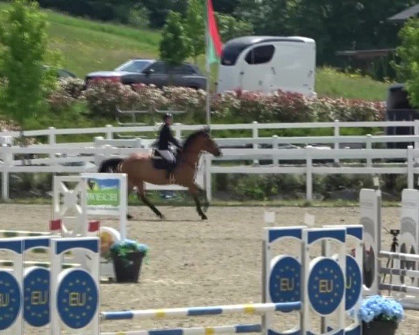 Reitturnier St. Margarethen 2025