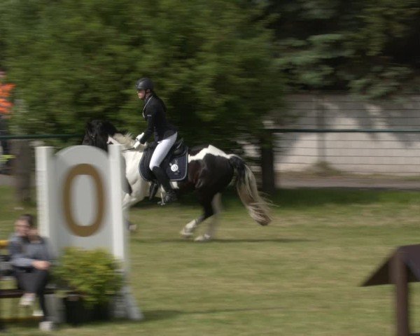 Reitturnier Buckow bei Beeskow (LOS) 2025