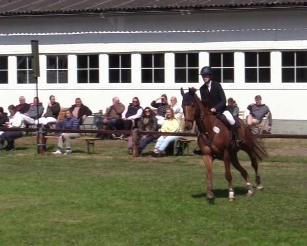 Reitturnier Zeven 2025