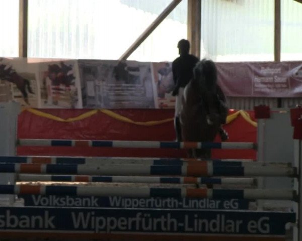 Hallenreitturnier Lindlar-Süttenbach 2014