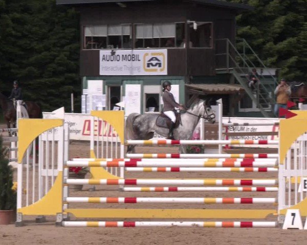 Reitturnier Ranshofen - Braunau am Inn 2025