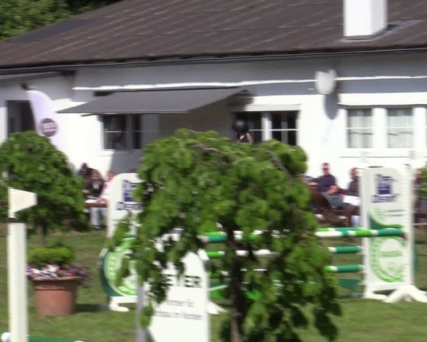 Reitturnier Zeven 2025