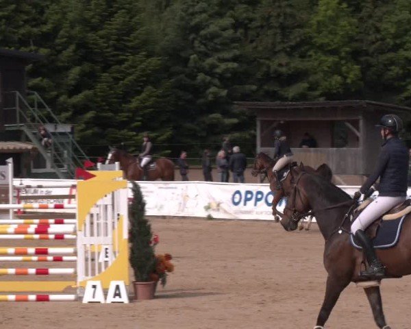 Reitturnier Ranshofen - Braunau am Inn 2025