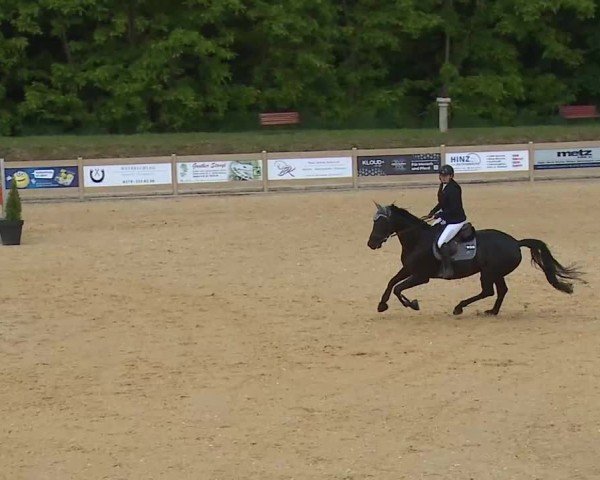 Reitturnier Tiefenhof/Opf. 2025