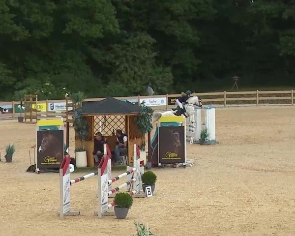 Reitturnier Tiefenhof/Opf. 2025