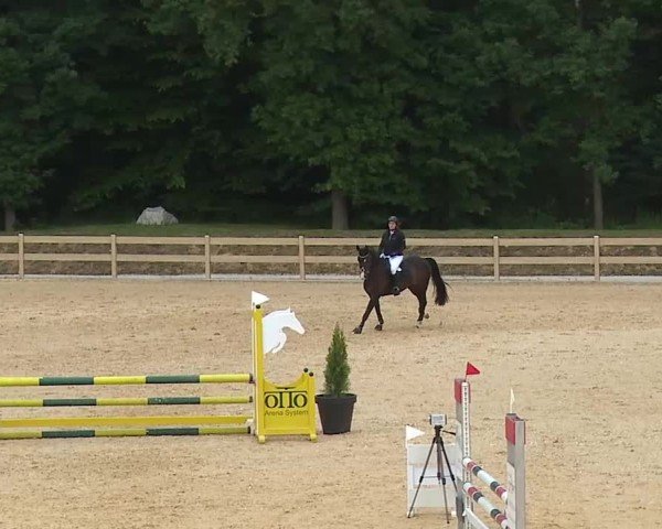 Reitturnier Tiefenhof/Opf. 2025