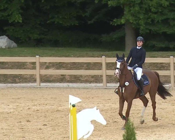 Reitturnier Tiefenhof/Opf. 2025