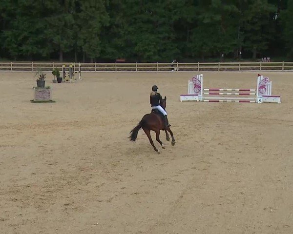 Reitturnier Tiefenhof/Opf. 2025