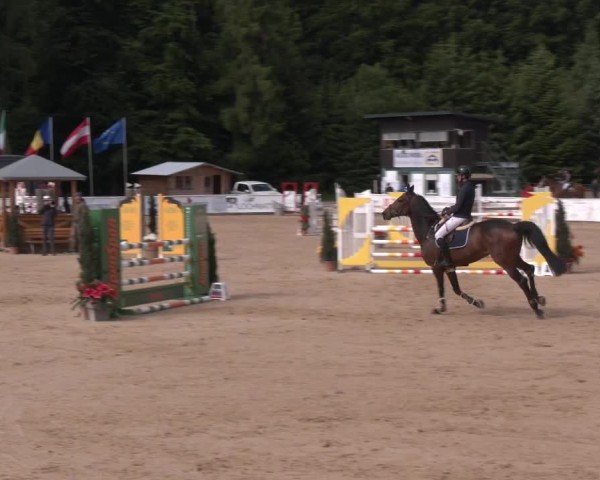 Reitturnier Ranshofen - Braunau am Inn 2025