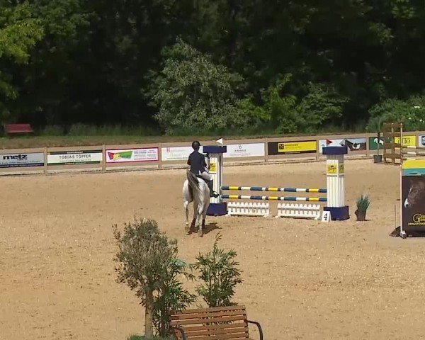 Reitturnier Tiefenhof/Opf. 2025