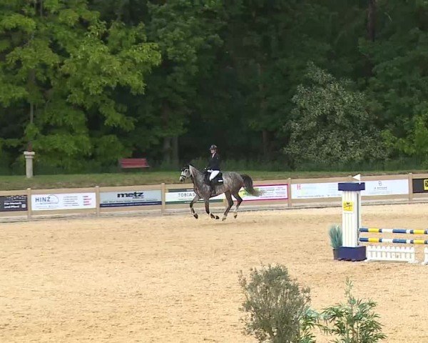 Reitturnier Tiefenhof/Opf. 2025