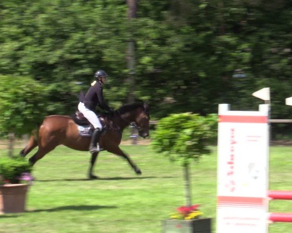 Reitturnier Zeven 2025