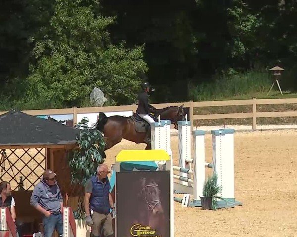 Reitturnier Tiefenhof/Opf. 2025