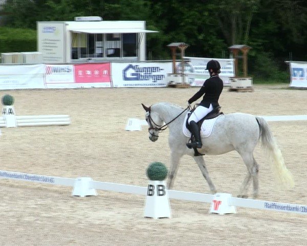 Reitturnier Mallersdorf-Pfaffenberg/Ndb. 2025