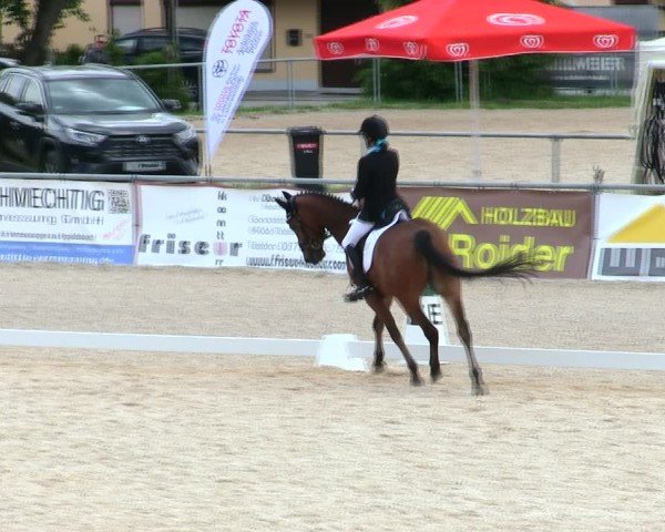 Reitturnier Mallersdorf-Pfaffenberg/Ndb. 2025