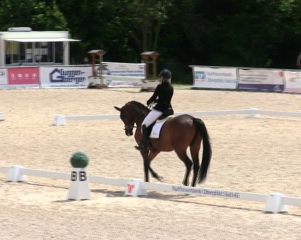 Reitturnier Mallersdorf-Pfaffenberg/Ndb. 2025