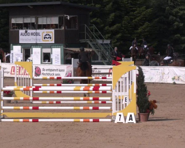 Reitturnier Ranshofen - Braunau am Inn 2025
