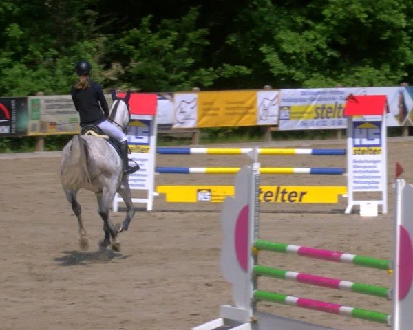 Reitturnier Alvern 2025