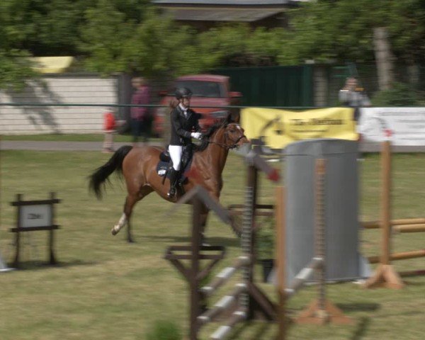 Reitturnier Buckow bei Beeskow (LOS) 2025