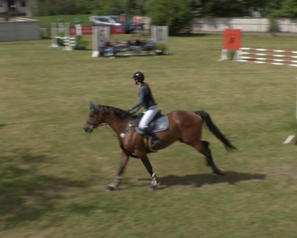 Reitturnier Buckow bei Beeskow (LOS) 2025