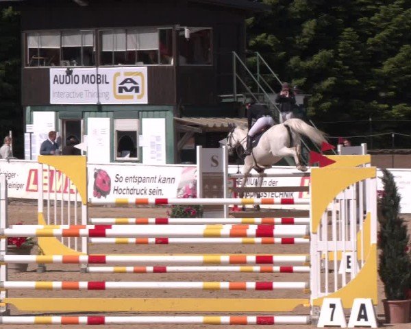 Reitturnier Ranshofen - Braunau am Inn 2025