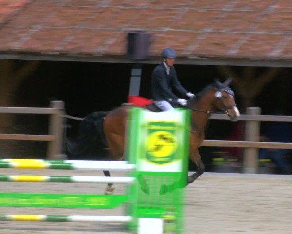 Reitturnier Alvern 2025