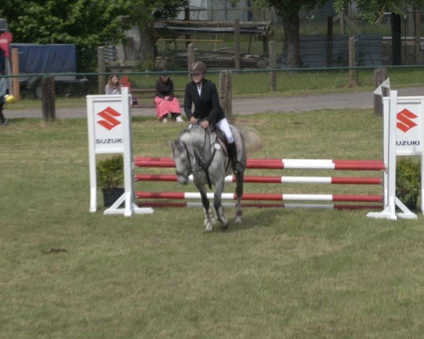 Reitturnier Buckow bei Beeskow (LOS) 2025