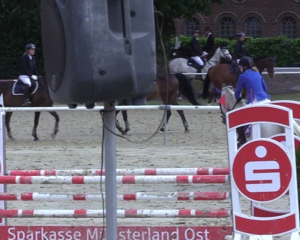 Reitturnier Ostenfelde-Vornholz 2025