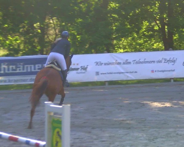 Reitturnier Alvern 2025
