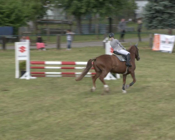 Reitturnier Buckow bei Beeskow (LOS) 2025