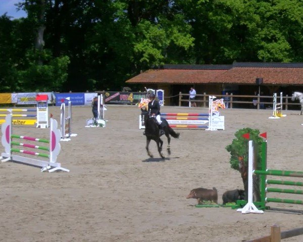 Reitturnier Alvern 2025