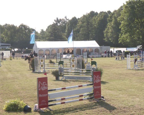 Reitturnier Stadthagen 2025