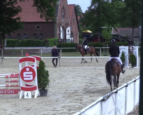 Reitturnier Ostenfelde-Vornholz 2025
