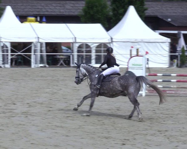 Reitturnier Ostenfelde-Vornholz 2025